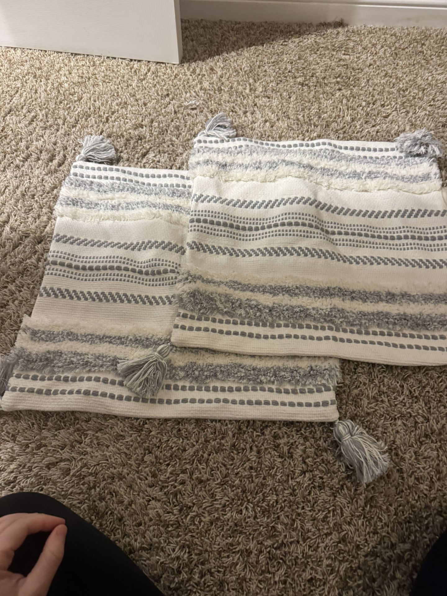 Two Couch Case Pillow Cover Covers