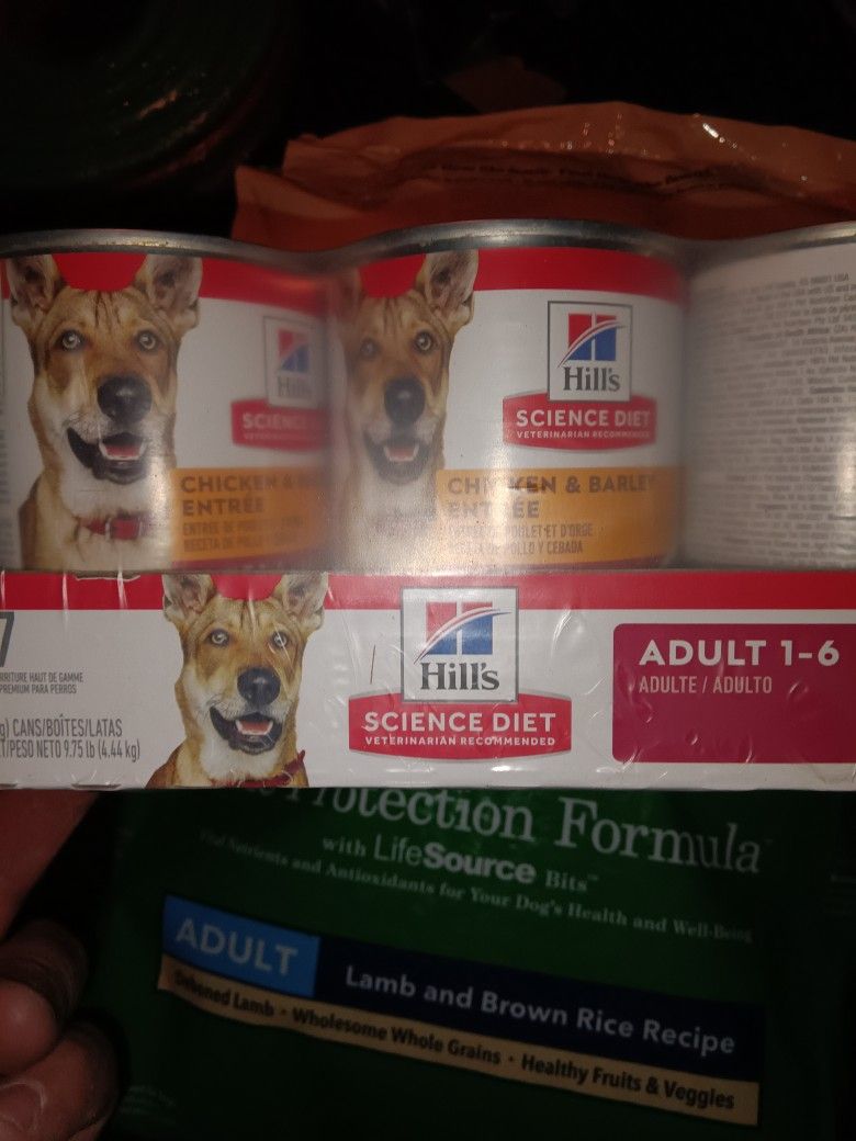 Hills Wet Dog Food 