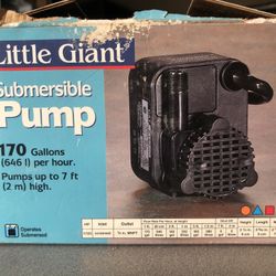 Water Pumps (2)