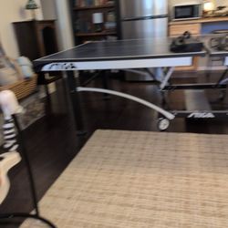 Ping Pong Table