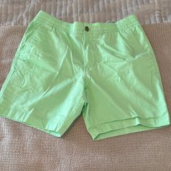 Tommy Hilfiger Shorts 