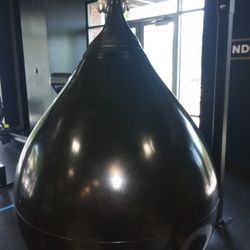 Pro Aqua Mayweather Punching Bag 