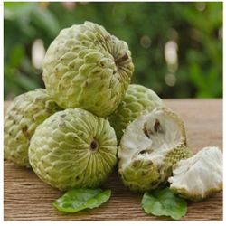 Sugar Apple