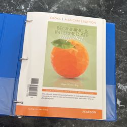 Beginning And Intermediate Algebra New