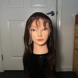 Brown Human Hair Wig 