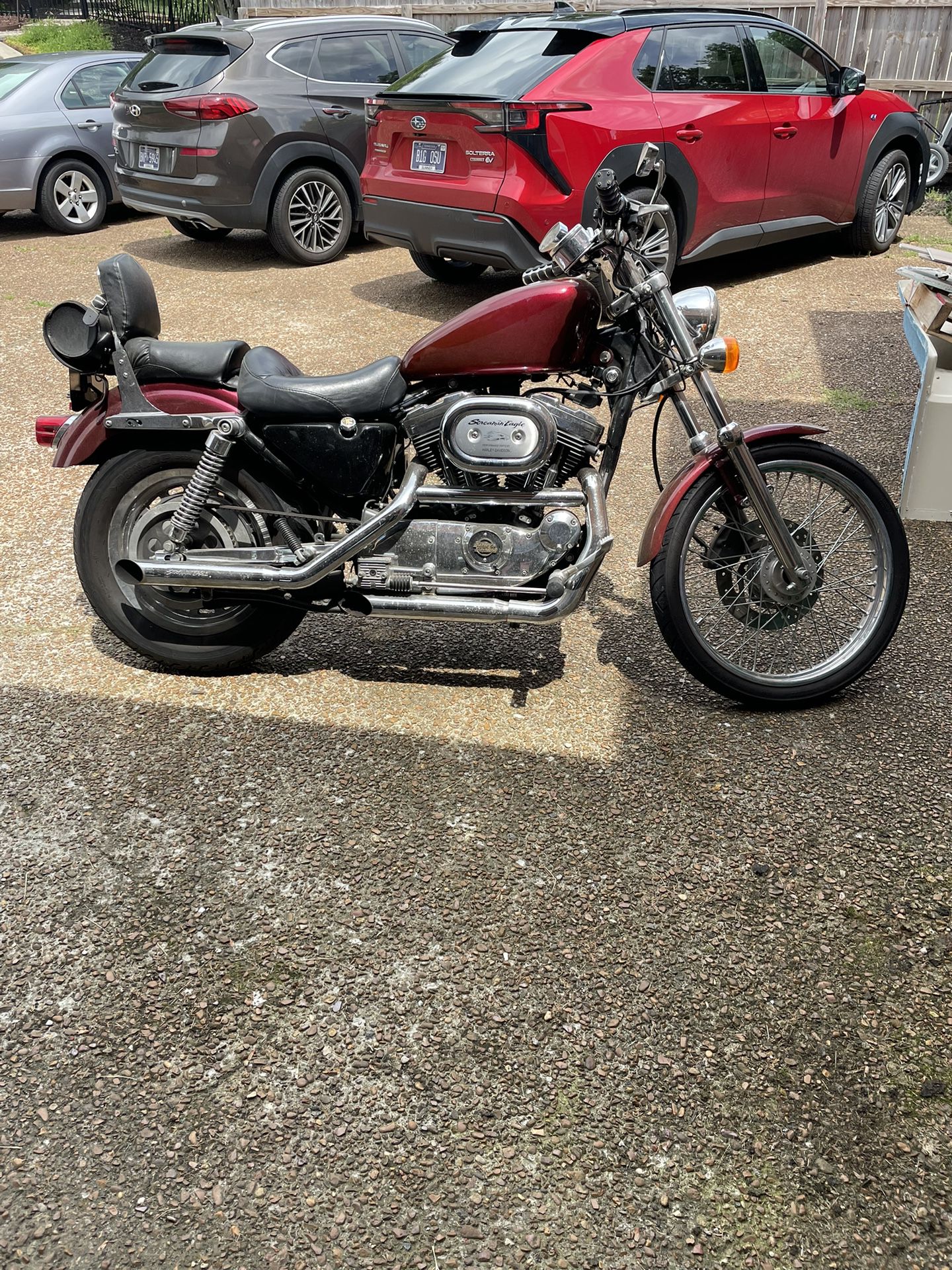 2001 Harley Davidson 1200 Sportster
