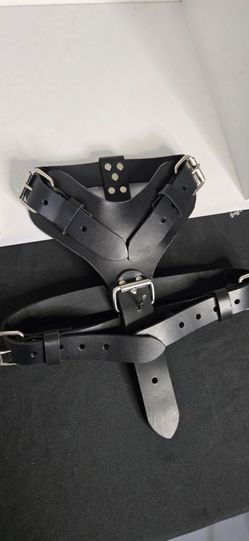 Black Dog Harness