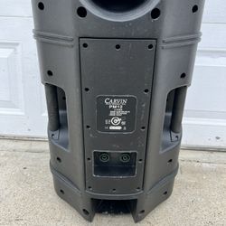 Carvin P12 Passive Speaker