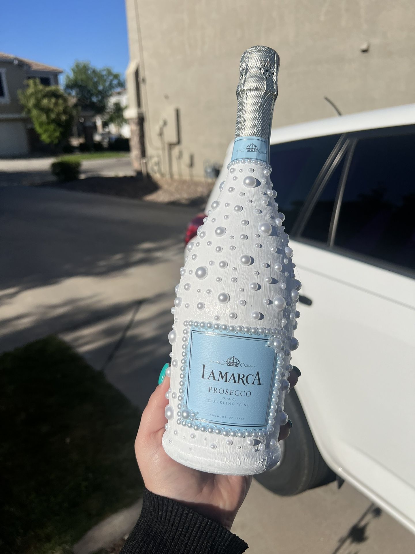 Wedding/Celebration/B-Day