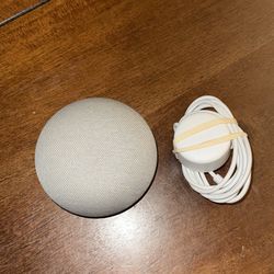Google Nest Mini Smart Speaker