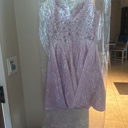 Blush Pink Dress