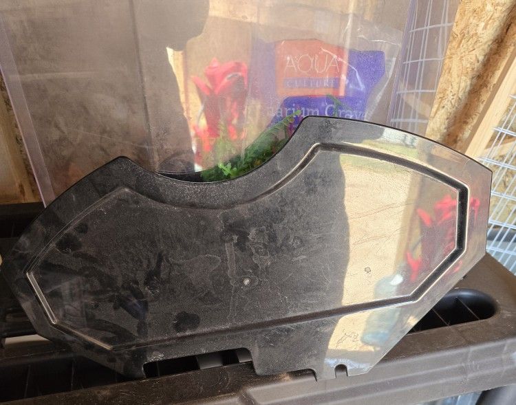 5 Gallon Fish Tank 