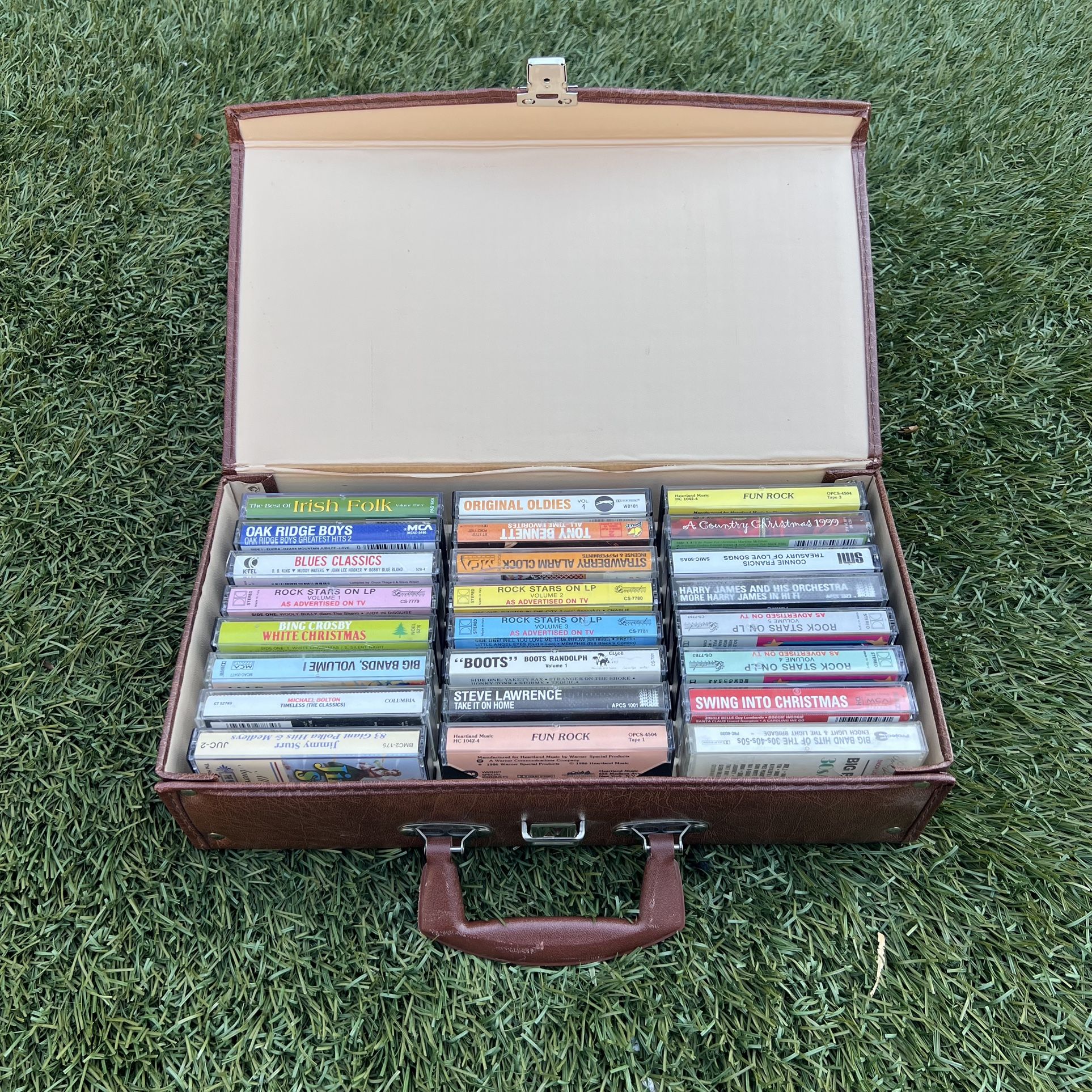 Vintage Cassette Tape Lot with Carrying Case – Mixed Artists & Genres