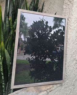 Shadow box 17 x 23 x 1.5", see 2nd pic