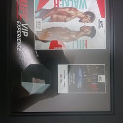 Ufc VIP Experience Row 1 Seat One Walker Vs Hill