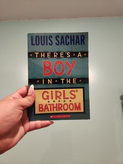 Louis Sanchar Book