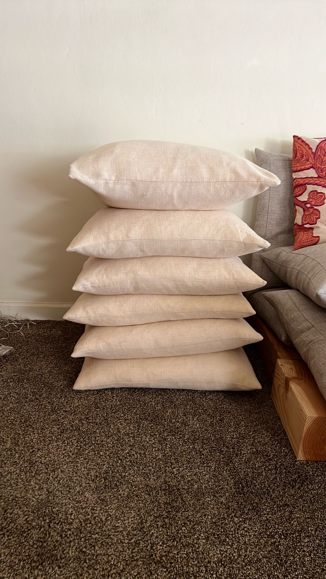 Decorative Down Pillows