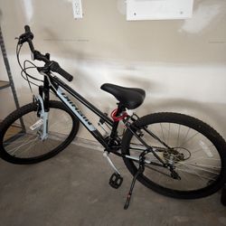 Bicycle 26”