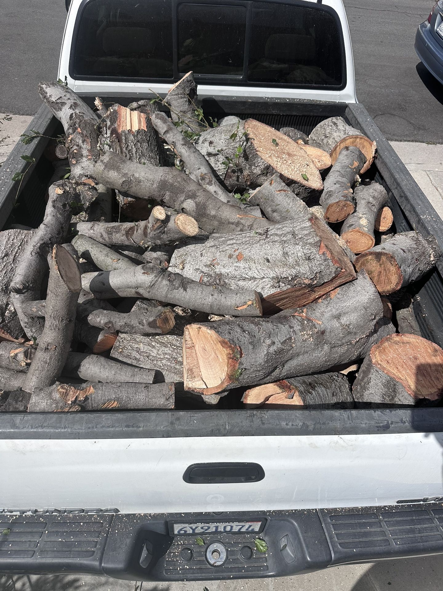Fresh Oak Wood 