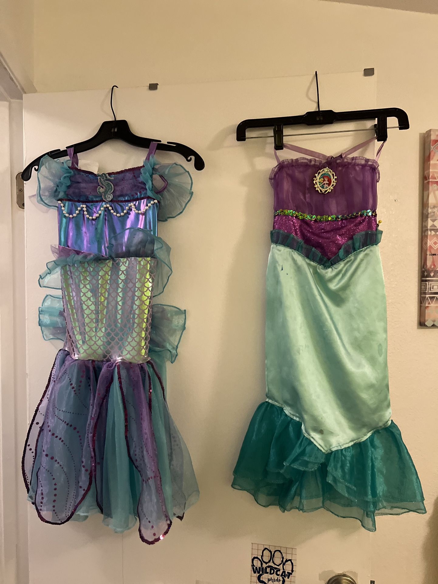 Halloweens Costumes -Disney princesses