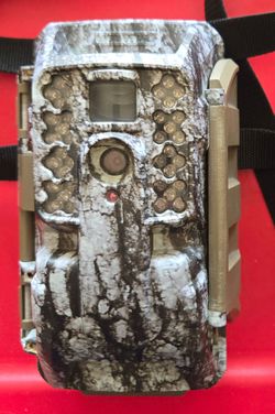 Trail Camera