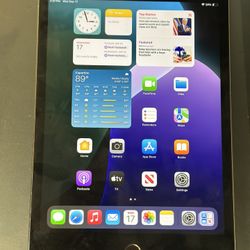 iPad mini 256GB