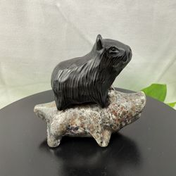 Crystal Obsidian Capybara on Crocodile