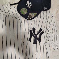 Brand New Aaron Judge Yankee Jersey With The Matching Hat All Brand Newsletter 