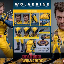Hot Toys Wolverine 1/6 Figure 