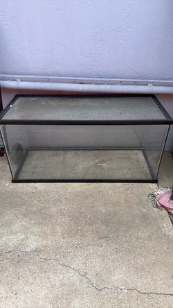 Glass Terranium no lid
