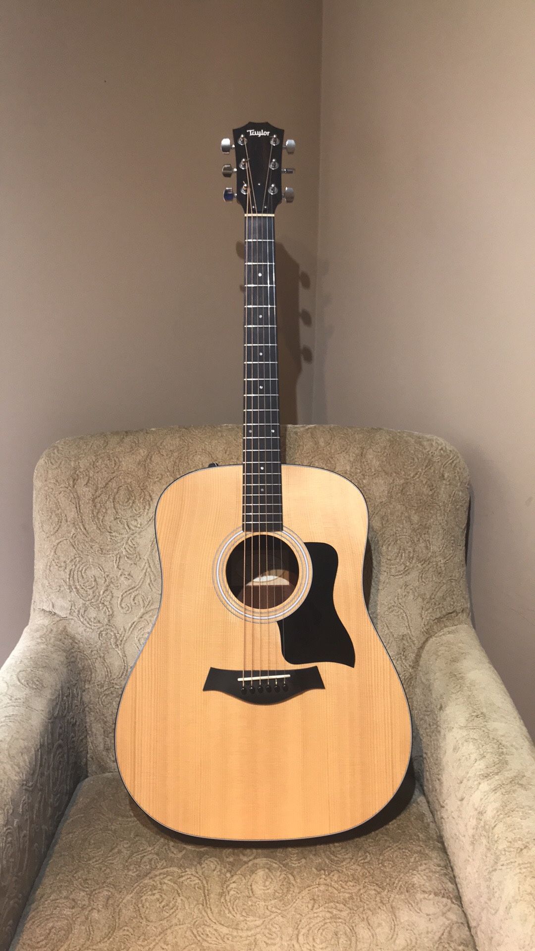 2017 Taylor 110e guitar