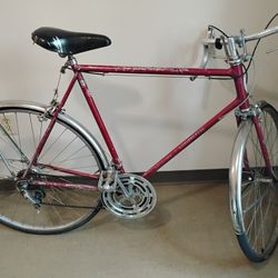 Original Vintage 1970s Schwinn Gt150 Good Condition $275obo