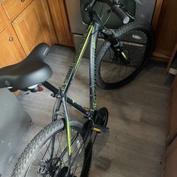 Schwinn 