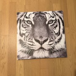 Tiger Wall Art