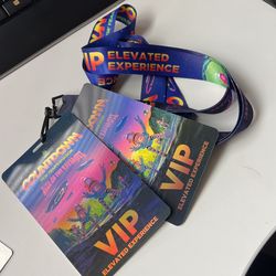 2 VIP 2022 Countdown Lanyards Insomniac