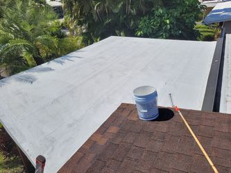Roof Paint 