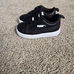 Pumas