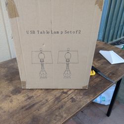 USb Table Lamp  Set Of 2