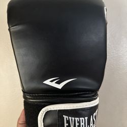 Everlast Boxing Gloves