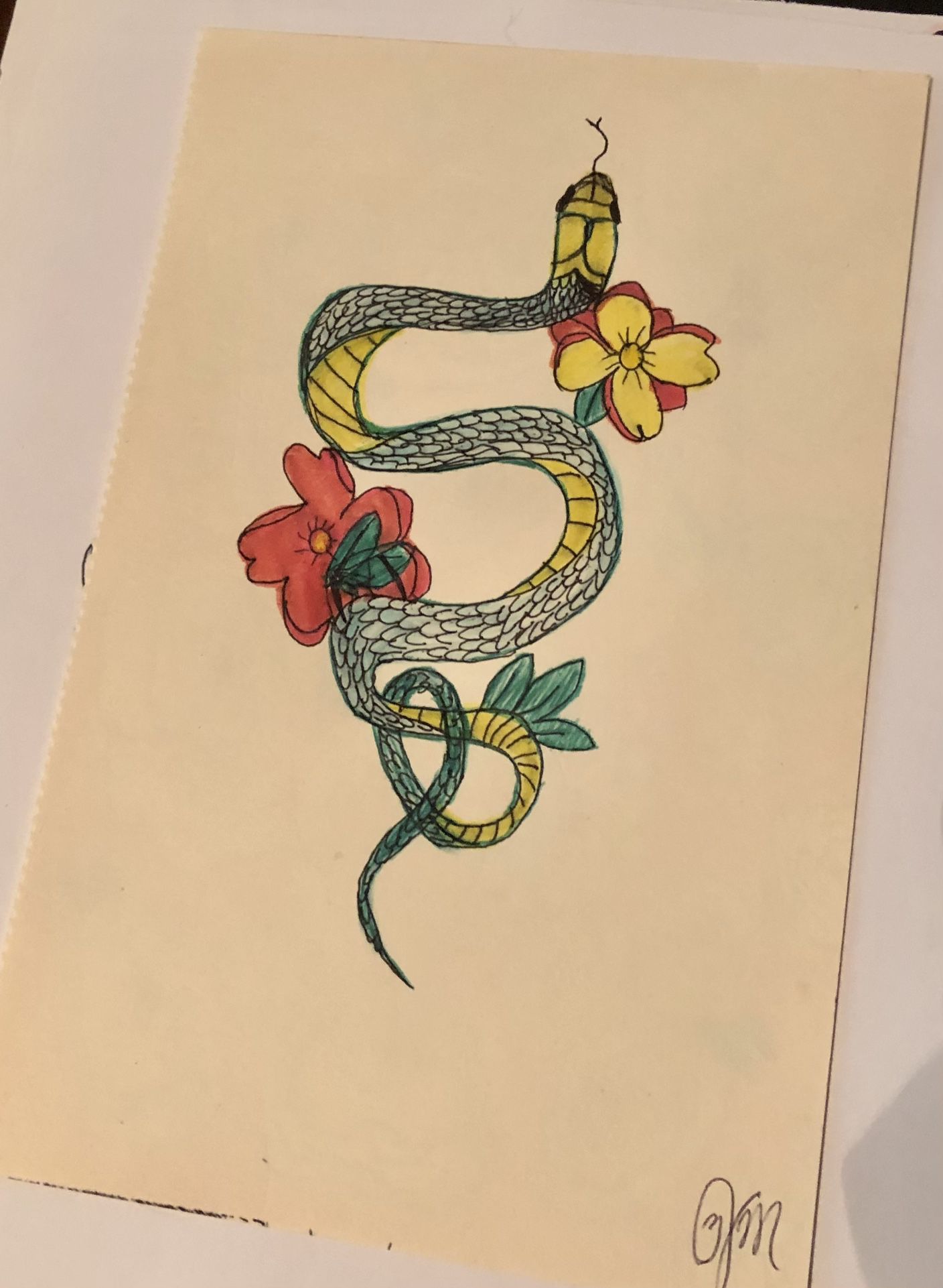 8.5x5.5 Inch Snake Illustration 