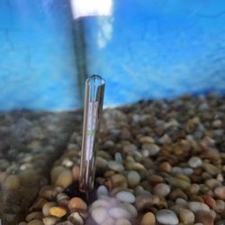 75 gallonfish tank 