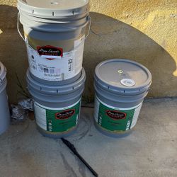 New Primer And Paint 