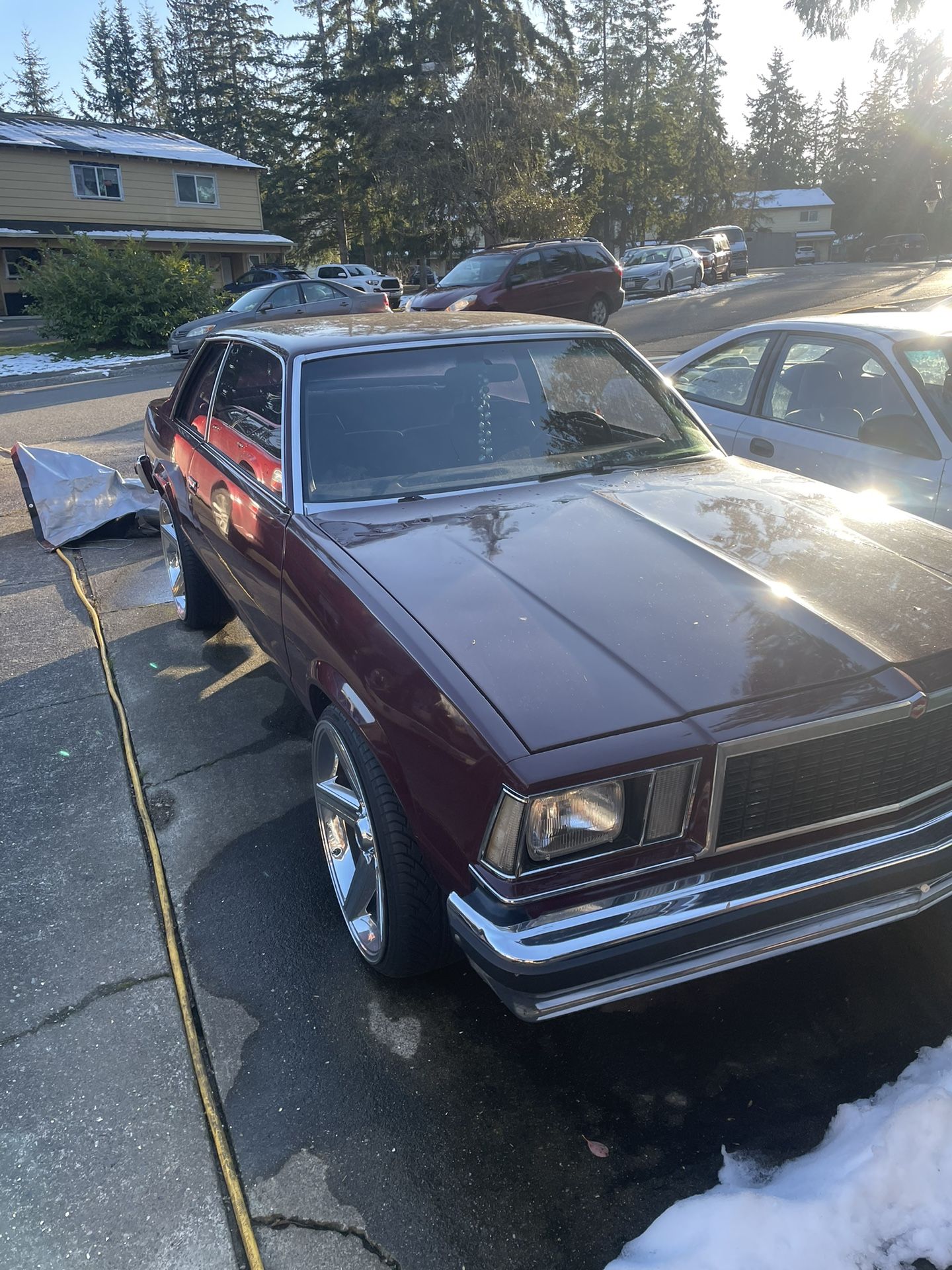 1979 Chevrolet Malibu
