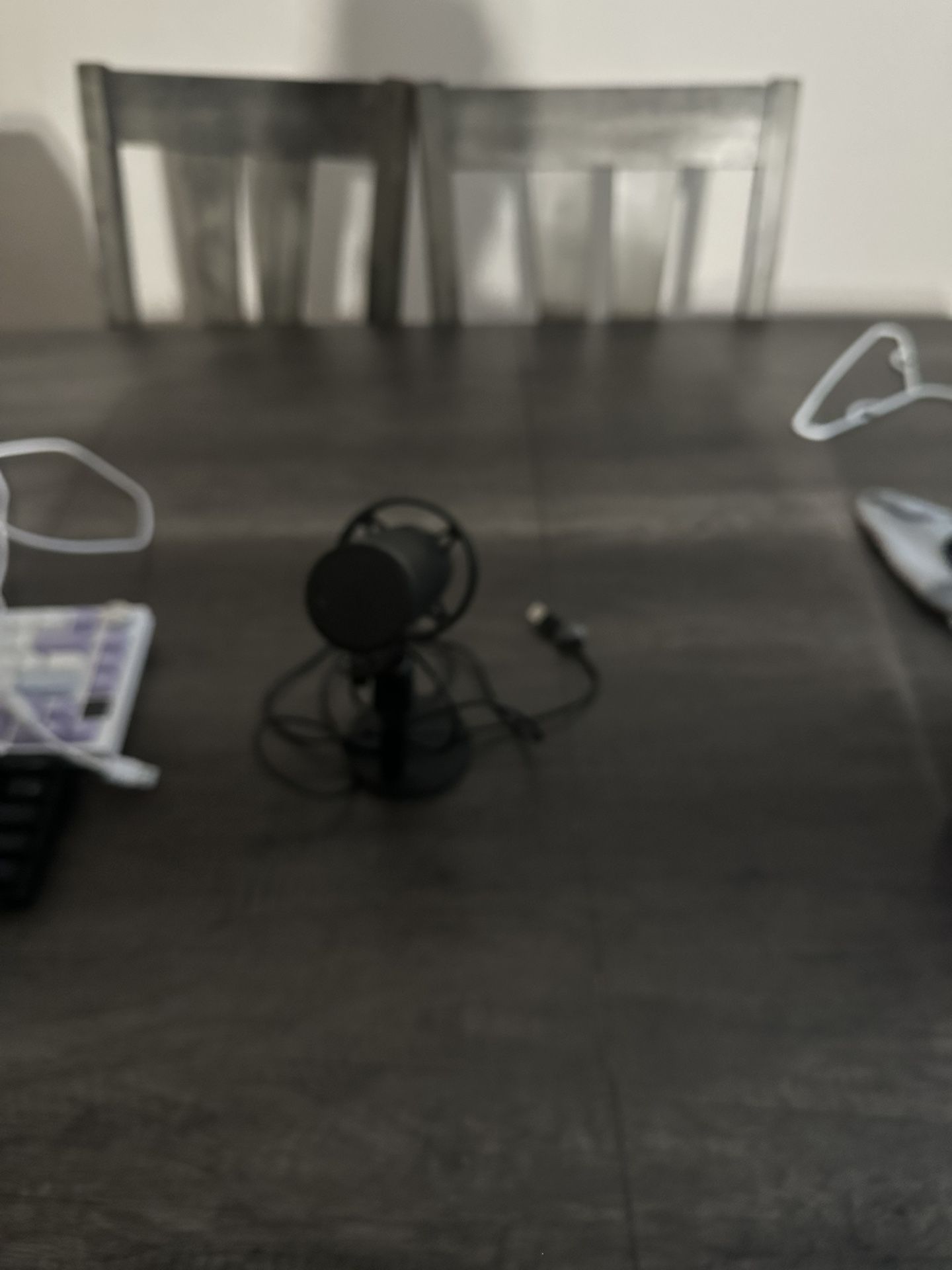 Monitor And Microphone