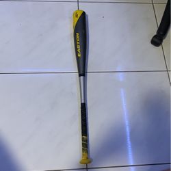 Easton  Bat