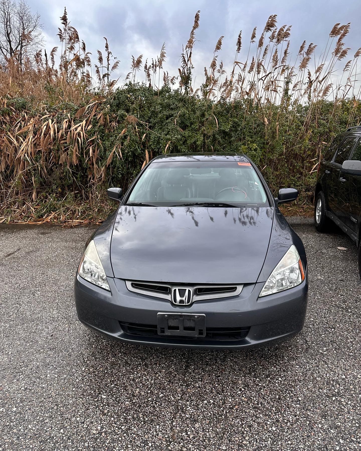 2003 Honda Accord