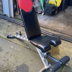 Bowflex Adjustable Weight Bench