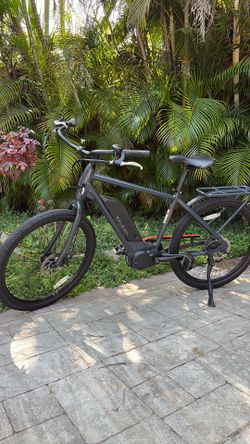 Raleigh E Bike
