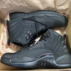 Jordan 12 Winter