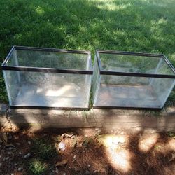 Pesera Tengo Una Nomas